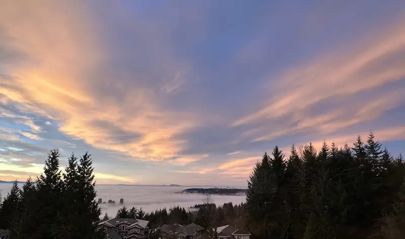 2978 FORESTRIDGE PLACE - photo 3 of 25