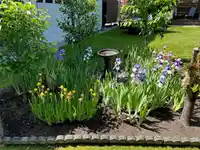 13251 82B AVENUE - thumbnail 31