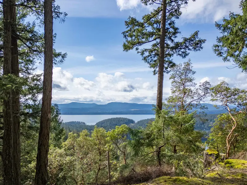 2564 MONTAGUE ROAD - photo 1 of 25