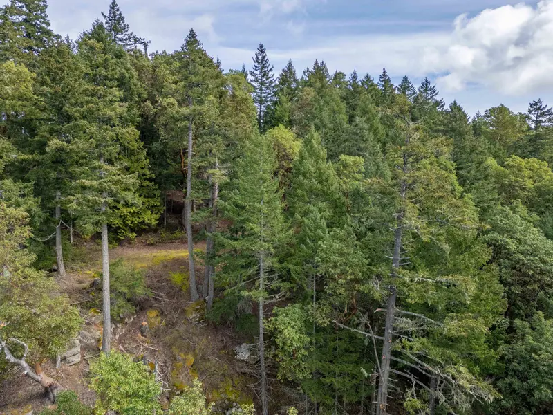 2564 MONTAGUE ROAD - photo 4 of 25