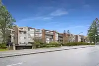 213 13316 OLD YALE ROAD - thumbnail 2