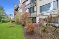 213 13316 OLD YALE ROAD - thumbnail 27