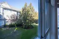 205 6557 121 STREET - thumbnail 27