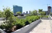 2606 13350 CENTRAL AVENUE - thumbnail 6