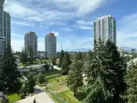 1007 13438 CENTRAL AVENUE - thumbnail 11