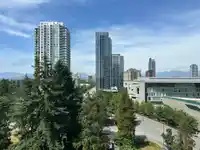 1007 13438 CENTRAL AVENUE - thumbnail 10