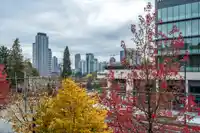 208 13733 107A AVENUE - thumbnail 25