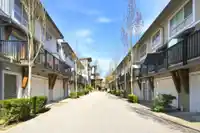 315 6688 120 STREET - thumbnail 31