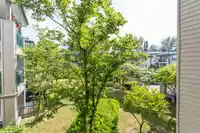 221 19528 FRASER HIGHWAY - thumbnail 15