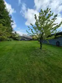 10587 138A STREET - thumbnail 3