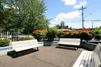 205 5909 177B STREET - thumbnail 19