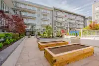 509 10838 WHALLEY BOULEVARD - thumbnail 37