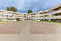 121 9635 121 STREET - thumbnail 30