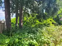 9851 WOODLAND PLACE - thumbnail 11