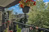 205 14960 102A AVENUE - thumbnail 21