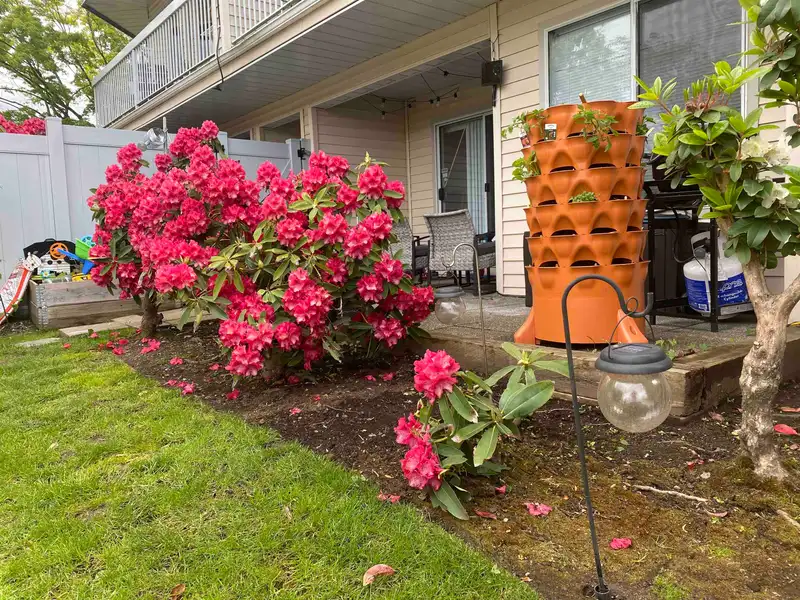 103 9299 121 STREET - photo 1 of 40