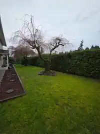 18138 59A AVENUE - thumbnail 20