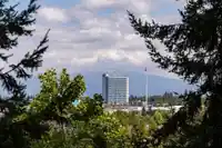 704 10082 148 STREET - thumbnail 27