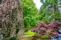 18 15075 60 AVENUE - thumbnail 33