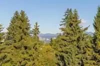 405 13768 108 AVENUE - thumbnail 15