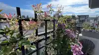 401 6688 120 STREET - thumbnail 36