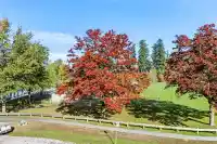 401 18505 LAURENSEN PLACE - thumbnail 3