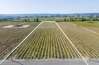 16623 COLEBROOK ROAD - thumbnail 8