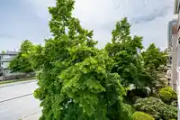 311 12101 80 AVENUE - thumbnail 27