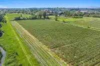 15683 64 AVENUE - thumbnail 4