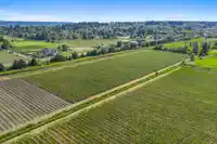 15683 64 AVENUE - thumbnail 7