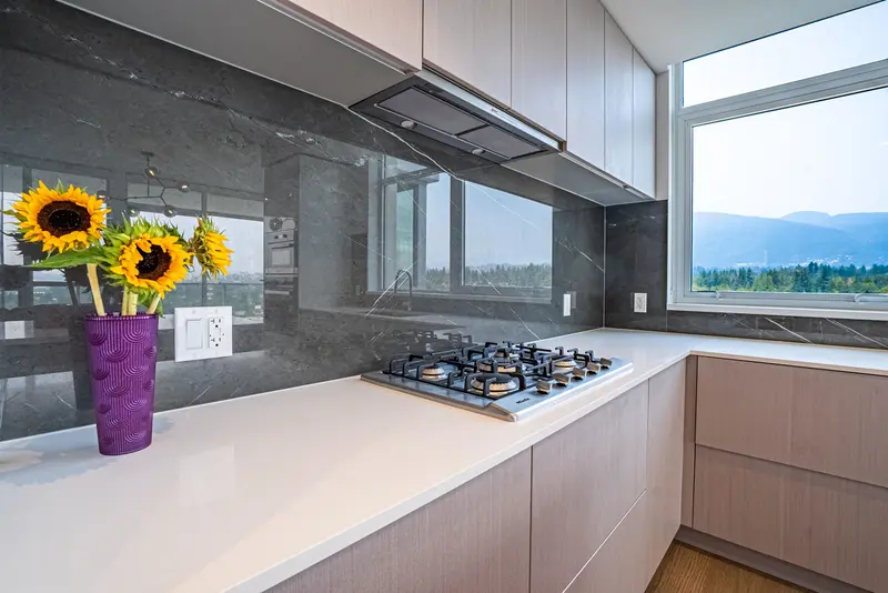 1601 1632 LIONS GATE LANE - photo 4 of 25