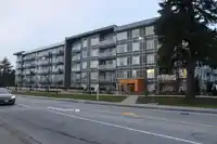 207 10838 WHALLEY BOULEVARD - thumbnail 35