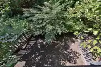 30 6123 138 STREET - thumbnail 23