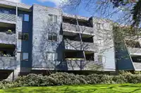 213 5906 176A STREET - thumbnail 16