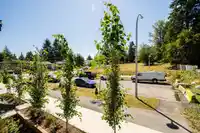 7 10527 155 STREET - thumbnail 20