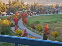 1105 10899 UNIVERSITY DRIVE - thumbnail 9