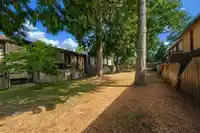 36 13795 102 AVENUE - thumbnail 8