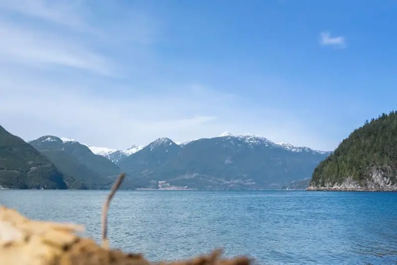 128 FURRY CREEK DRIVE - photo 4 of 20