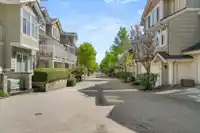 70 14877 58 AVENUE - thumbnail 26
