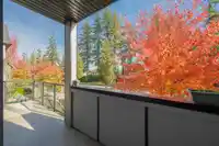 16 15177 60 AVENUE - thumbnail 16