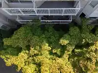 207 9946 151 STREET - thumbnail 24