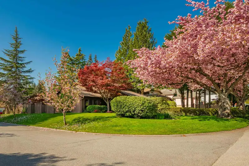 10234 156A STREET - photo 3 of 36