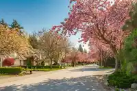 10234 156A STREET - thumbnail 4