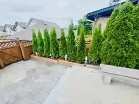 6825 190TH STREET - thumbnail 35