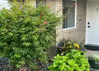 47 15020 66A AVENUE - thumbnail 17