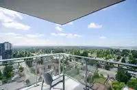 2506 13308 CENTRAL AVENUE - thumbnail 33