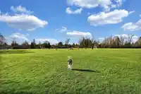 101 13368 72 AVENUE - thumbnail 30