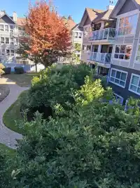 310 9626 148 STREET - thumbnail 3