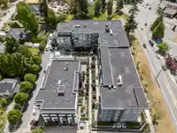 220 10838 WHALLEY BOULEVARD - thumbnail 40
