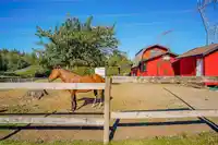 5747 128 STREET - thumbnail 36